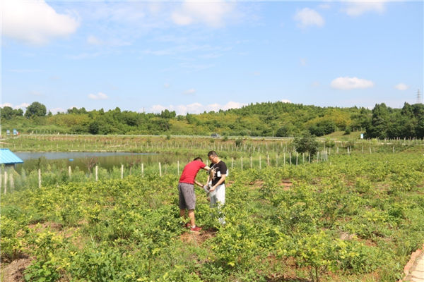 公司到各客戶的基地現(xiàn)場(chǎng)取土 為客戶做土壤檢測(cè)2