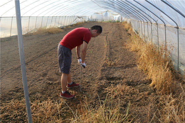 公司到各客戶的基地現(xiàn)場(chǎng)取土 為客戶做土壤檢測(cè)3