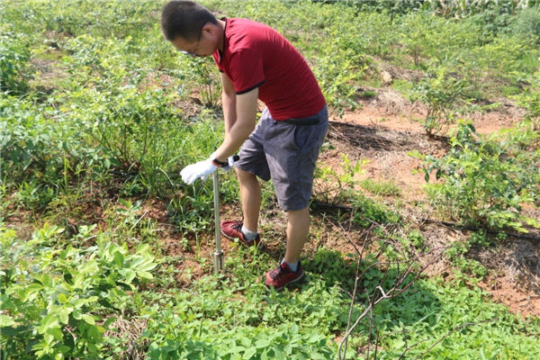 公司到各客戶的基地現(xiàn)場(chǎng)取土 為客戶做土壤檢測(cè)1