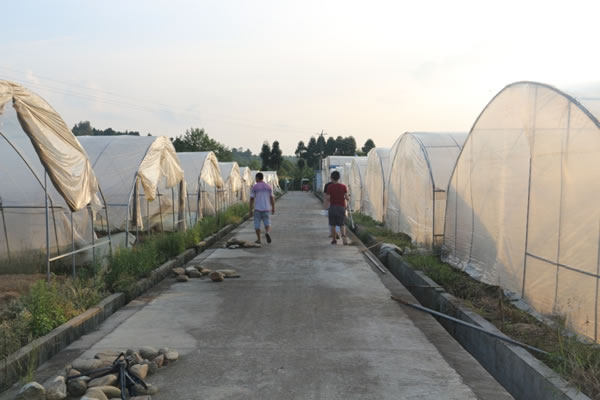 到的基地了解情況