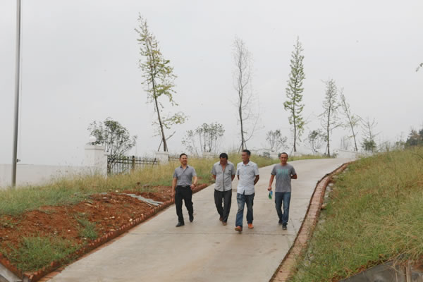 陜西蘋果基地備肥1