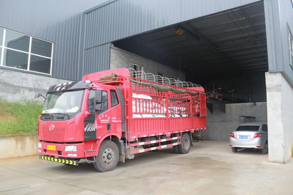 陜西蘋果基地備肥4