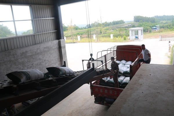 綿陽園林基地備肥1