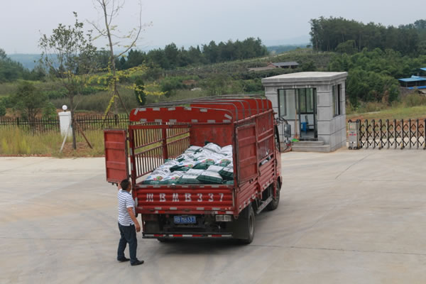 綿陽園林基地備肥2