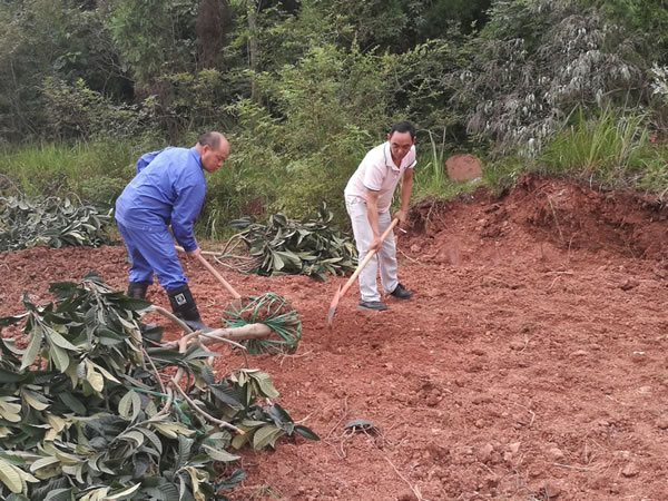 德陽生態農業基地備肥5