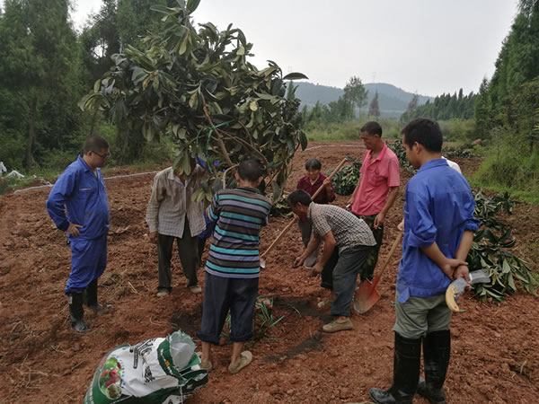 德陽生態農業基地備肥6