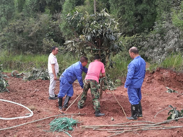 德陽生態農業基地備肥8
