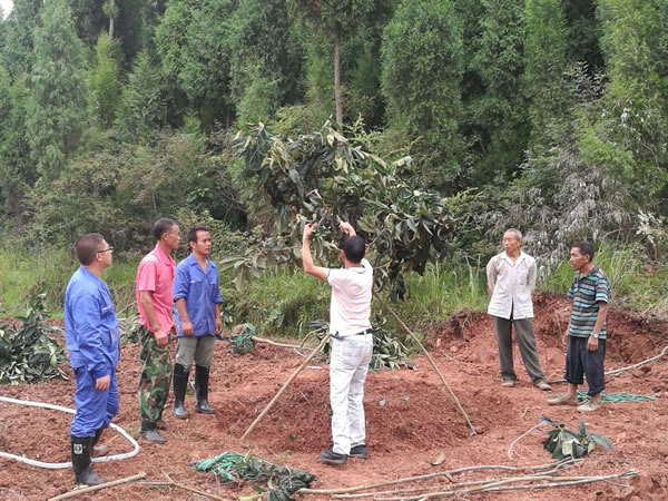 德陽生態農業基地備肥9