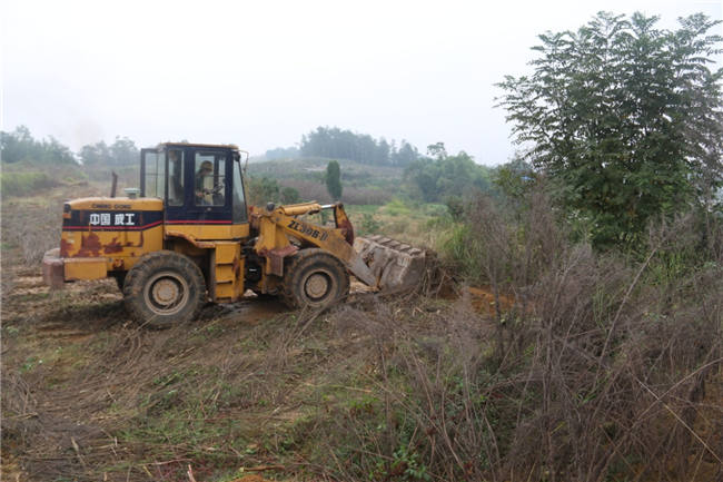 有機肥改良土壤