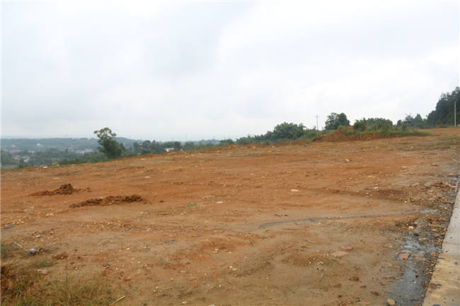 有機肥改良土壤