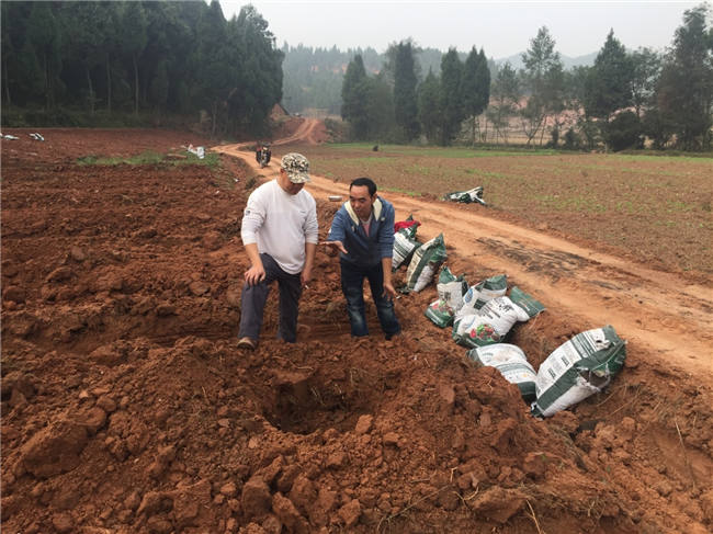 我公司植保團隊老師再次來到德陽生態農業基地進行售后跟蹤指導