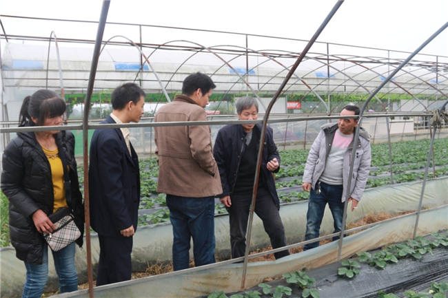 陜西客戶一行來公司參觀