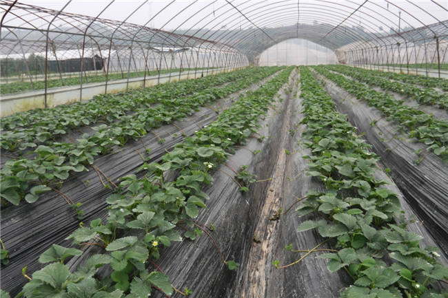 陜西客戶一行來公司參觀