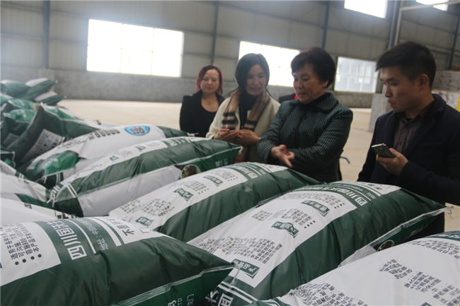 臺灣孫博士一行來公司參觀考察