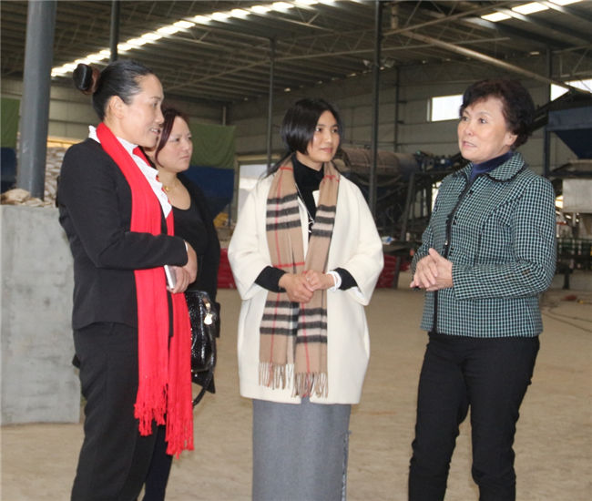 臺灣孫博士一行來公司參觀考察