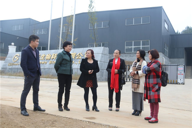 臺灣孫博士一行來公司參觀考察