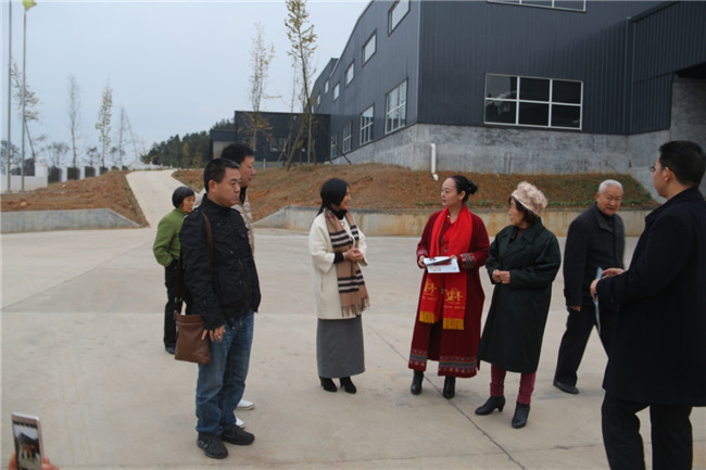 和諧人生文化科技董事長何總及團隊一行來公司參觀考察