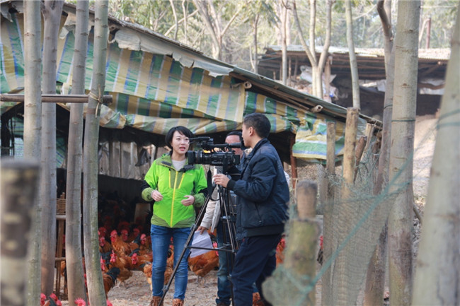 綿陽電視臺來公司采訪6