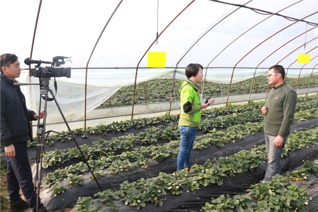 綿陽電視臺來公司采訪7