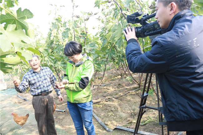 綿陽電視臺來公司采訪8