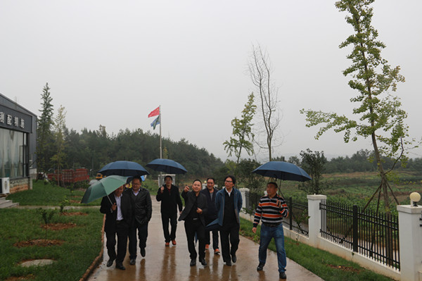 IMG_4318_副本.jpg IMG_4318_副本.jpg