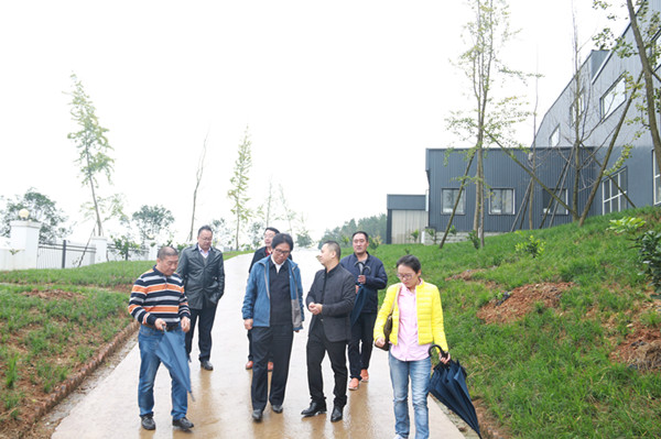 IMG_4369_副本.jpg IMG_4369_副本.jpg