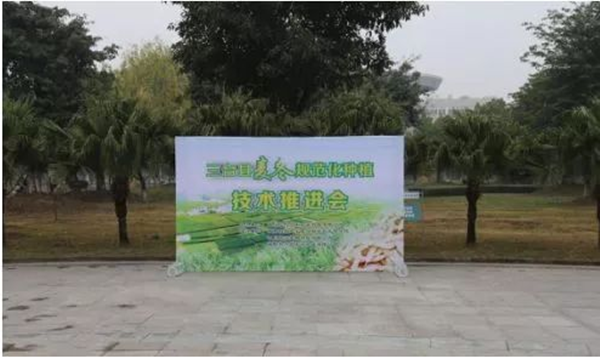 00_副本.png 00_副本.png