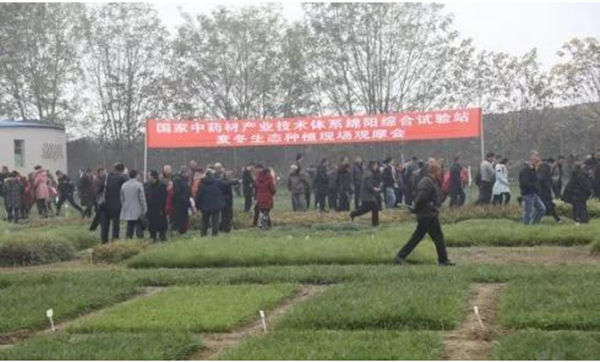 02_副本.png 02_副本.png