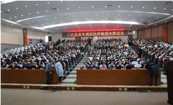 06_副本.png 06_副本.png