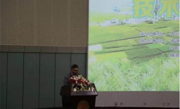 07_副本.png 07_副本.png