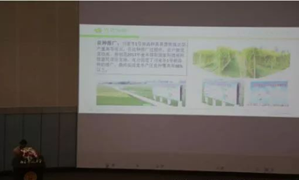 11_副本.png 11_副本.png