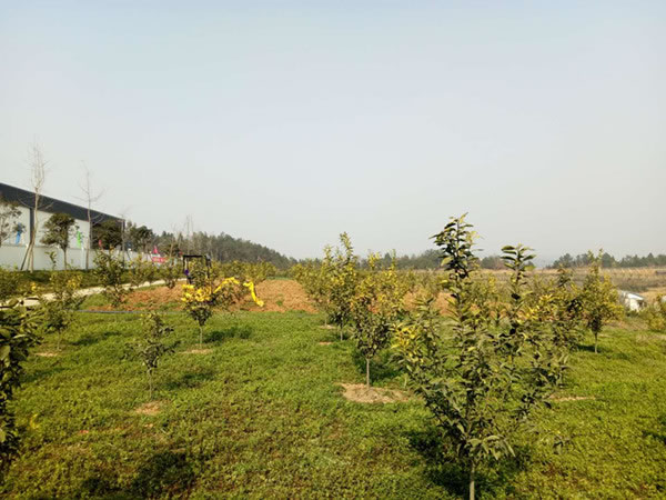 微信圖片_20190122132817_副本.jpg 微信圖片_20190122132817_副本.jpg