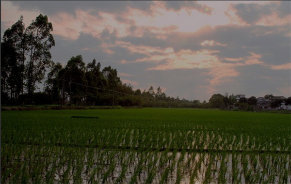 306_副本.png 306_副本.png