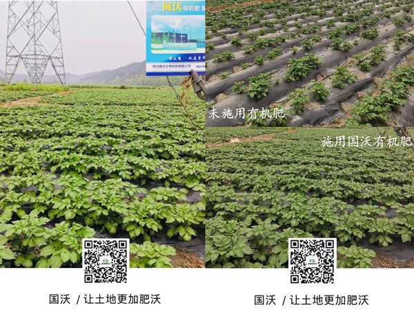 01_副本.jpg 01_副本.jpg