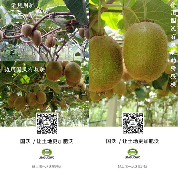 03_副本.jpg 03_副本.jpg