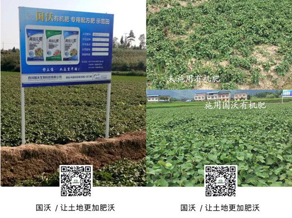 04_副本.jpg 04_副本.jpg