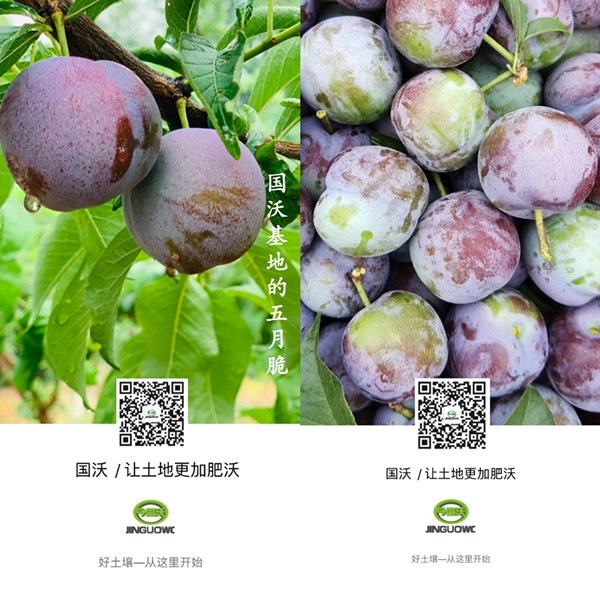 06_副本.jpg 06_副本.jpg