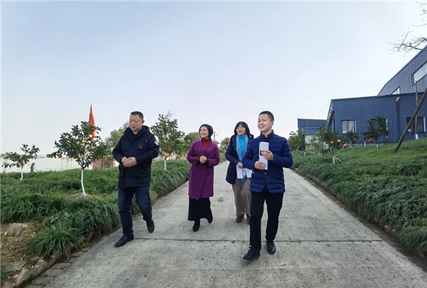 5.webp.jpg 5.webp.jpg