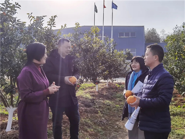 6.webp.jpg 6.webp.jpg