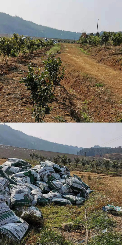 640.webp (9).jpg 640.webp (9).jpg