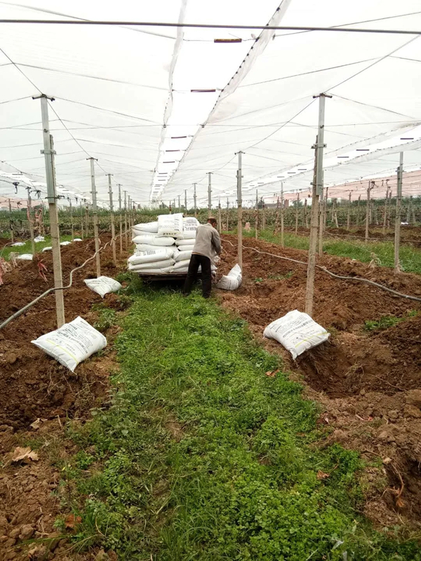 640.webp (10).jpg 640.webp (10).jpg