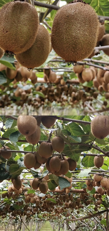 640.webp (11).jpg 640.webp (11).jpg